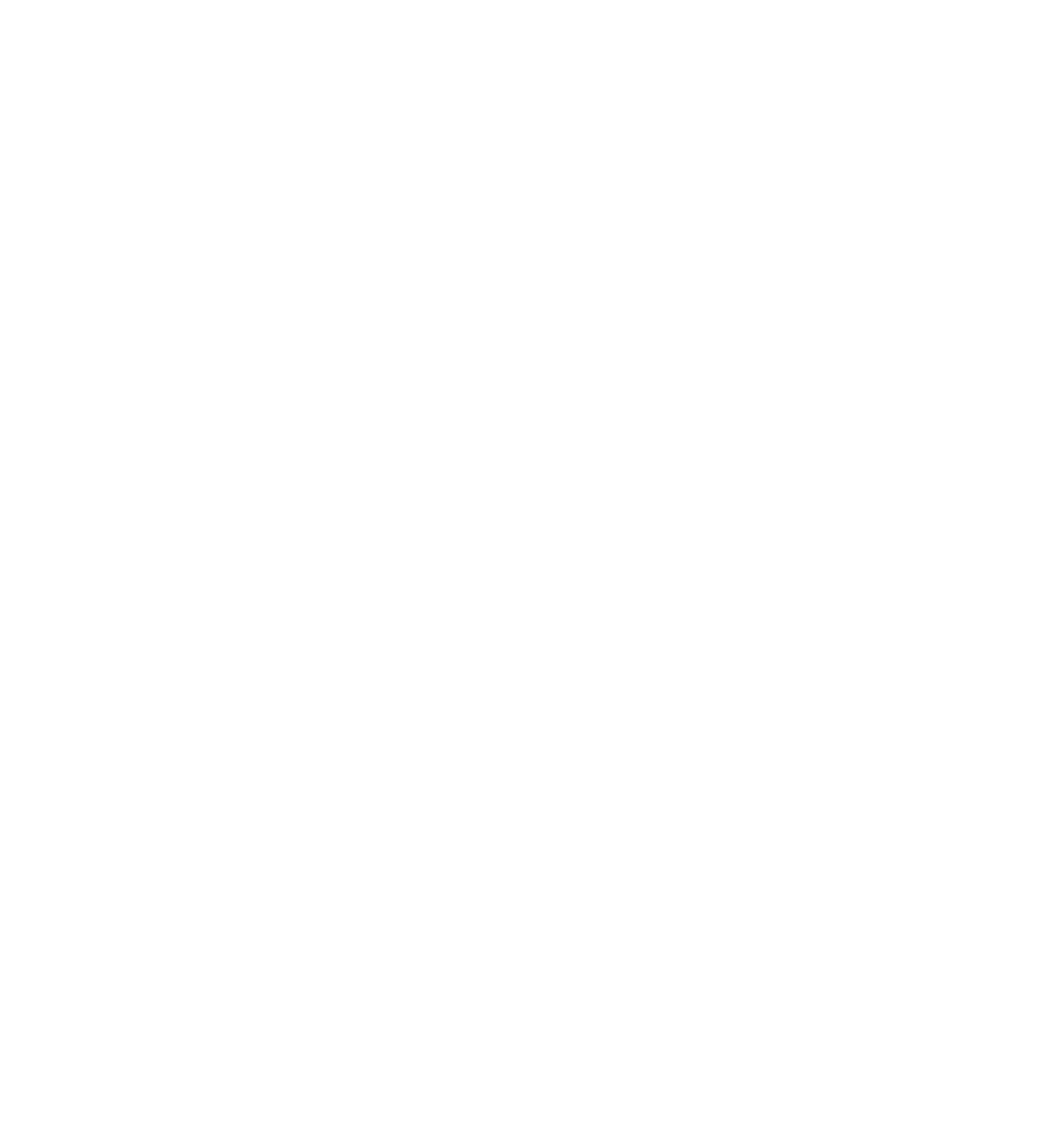 Spider Métier
